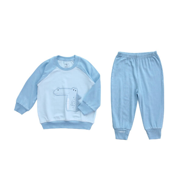 blue dinosaur clothing set for kid
